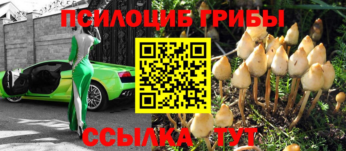 Галлюциногенные грибы Cubensis Обнинск